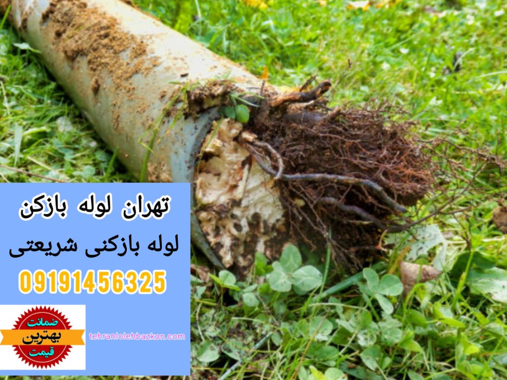 لوله بازکنی شریعتی